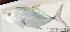  ( - MBIO1001.4)  @12 [ ] Unspecified (default): All Rights Reserved  Unspecified Unspecified