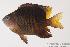  ( - MBIO100.4)  @13 [ ] Unspecified (default): All Rights Reserved  Unspecified Unspecified