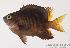  ( - MBIO101.4)  @13 [ ] Unspecified (default): All Rights Reserved  Unspecified Unspecified