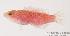  ( - MBIO117.4)  @12 [ ] Unspecified (default): All Rights Reserved  Unspecified Unspecified