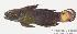  ( - MBIO1188.4)  @12 [ ] Unspecified (default): All Rights Reserved  Unspecified Unspecified
