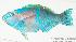  ( - MBIO1235.4)  @11 [ ] Unspecified (default): All Rights Reserved  Unspecified Unspecified