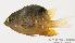  ( - MBIO1265.4)  @12 [ ] Unspecified (default): All Rights Reserved  Unspecified Unspecified