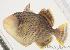  ( - MBIO1268.4)  @13 [ ] Unspecified (default): All Rights Reserved  Unspecified Unspecified