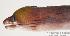  ( - MBIO1564.4)  @12 [ ] Unspecified (default): All Rights Reserved  Unspecified Unspecified