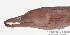  ( - MBIO1602.4)  @12 [ ] Unspecified (default): All Rights Reserved  Unspecified Unspecified
