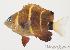  ( - MBIO1653.4)  @14 [ ] Unspecified (default): All Rights Reserved  Unspecified Unspecified