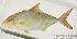  ( - MBIO1707.4)  @13 [ ] Unspecified (default): All Rights Reserved  Unspecified Unspecified
