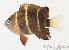  ( - MBIO289.4)  @14 [ ] Unspecified (default): All Rights Reserved  Unspecified Unspecified