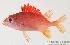  ( - MBIO530.4)  @14 [ ] Unspecified (default): All Rights Reserved  Unspecified Unspecified