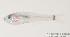  ( - MBIO601.4)  @11 [ ] Unspecified (default): All Rights Reserved  Unspecified Unspecified