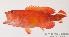 ( - MBIO64.4)  @13 [ ] Unspecified (default): All Rights Reserved  Unspecified Unspecified