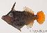  ( - MBIO77.4)  @11 [ ] Unspecified (default): All Rights Reserved  Unspecified Unspecified