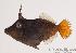  ( - MBIO78.4)  @11 [ ] Unspecified (default): All Rights Reserved  Unspecified Unspecified