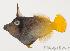  ( - MBIO970.4)  @11 [ ] Unspecified (default): All Rights Reserved  Unspecified Unspecified