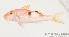  ( - MBIO1841.4)  @13 [ ] Unspecified (default): All Rights Reserved  Unspecified Unspecified