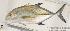  ( - MBIO1862.4)  @12 [ ] Unspecified (default): All Rights Reserved  Unspecified Unspecified