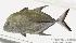  ( - MBIO1866.4)  @12 [ ] Unspecified (default): All Rights Reserved  Unspecified Unspecified