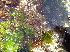  ( - CAN0110)  @11 [ ] CreativeCommons - Attribution Non-Commercial Share-Alike (2013) Unspecified Universidade de La Laguna