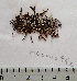  ( - MD0000442)  @11 [ ] CreativeCommons - Attribution Non-Commercial Share-Alike (2014) Unspecified CIBIO Azores