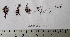  ( - MD0002779)  @11 [ ] CreativeCommons - Attribution Non-Commercial Share-Alike (2014) Unspecified CIBIO Azores