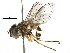  ( - BIOUG09808-E06)  @14 [ ] CreativeCommons - Attribution (2016) CBG Photography Group Centre for Biodiversity Genomics