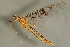  ( - 08MBMAY-0013)  @13 [ ] CreativeCommons - Attribution (2009) Unspecified Centre for Biodiversity Genomics