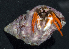  ( - MBIO2318.1)  @14 [ ] Unspecified (default): All Rights Reserved  Unspecified Unspecified