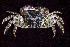  ( - MBIO2338.1)  @15 [ ] Unspecified (default): All Rights Reserved  Unspecified Unspecified