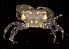  ( - MBIO2341.1)  @14 [ ] Unspecified (default): All Rights Reserved  Unspecified Unspecified