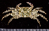  ( - MBIO2344.1)  @15 [ ] Unspecified (default): All Rights Reserved  Unspecified Unspecified