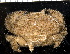  ( - MBIO2347.1)  @11 [ ] Unspecified (default): All Rights Reserved  Unspecified Unspecified
