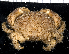  ( - MBIO2348.1)  @11 [ ] Unspecified (default): All Rights Reserved  Unspecified Unspecified