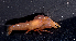  ( - MBIO2417.1)  @11 [ ] Unspecified (default): All Rights Reserved  Unspecified Unspecified