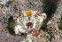  ( - MBIO2426.1)  @15 [ ] Unspecified (default): All Rights Reserved  Unspecified Unspecified
