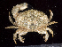  ( - MBIO2525.1)  @13 [ ] Unspecified (default): All Rights Reserved  Unspecified Unspecified