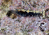  ( - MBIO2530.1)  @11 [ ] Unspecified (default): All Rights Reserved  Unspecified Unspecified
