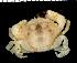  ( - MBIO2782.1)  @12 [ ] Unspecified (default): All Rights Reserved  Unspecified Unspecified