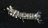  ( - MBIO2885.1)  @14 [ ] Unspecified (default): All Rights Reserved  Unspecified Unspecified