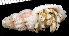  ( - MBIO2891.1)  @14 [ ] Unspecified (default): All Rights Reserved  Unspecified Unspecified