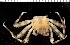  ( - MBIO2897.1)  @13 [ ] Unspecified (default): All Rights Reserved  Unspecified Unspecified