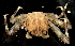  ( - MBIO2898.1)  @13 [ ] Unspecified (default): All Rights Reserved  Unspecified Unspecified