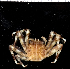 ( - MBIO2900.1)  @13 [ ] Unspecified (default): All Rights Reserved  Unspecified Unspecified