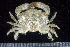  ( - MBIO2901.1)  @14 [ ] Unspecified (default): All Rights Reserved  Unspecified Unspecified