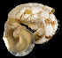  ( - MBIO2902.1)  @13 [ ] Unspecified (default): All Rights Reserved  Unspecified Unspecified