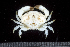  ( - MBIO2924.1)  @14 [ ] Unspecified (default): All Rights Reserved  Unspecified Unspecified