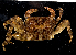  ( - MBIO3064.1)  @14 [ ] Unspecified (default): All Rights Reserved  Unspecified Unspecified