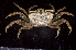  ( - MBIO3079.1)  @14 [ ] Unspecified (default): All Rights Reserved  Unspecified Unspecified