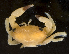  ( - MBIO3195.1)  @13 [ ] Unspecified (default): All Rights Reserved  Unspecified Unspecified