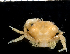  ( - MBIO3196.1)  @14 [ ] Unspecified (default): All Rights Reserved  Unspecified Unspecified